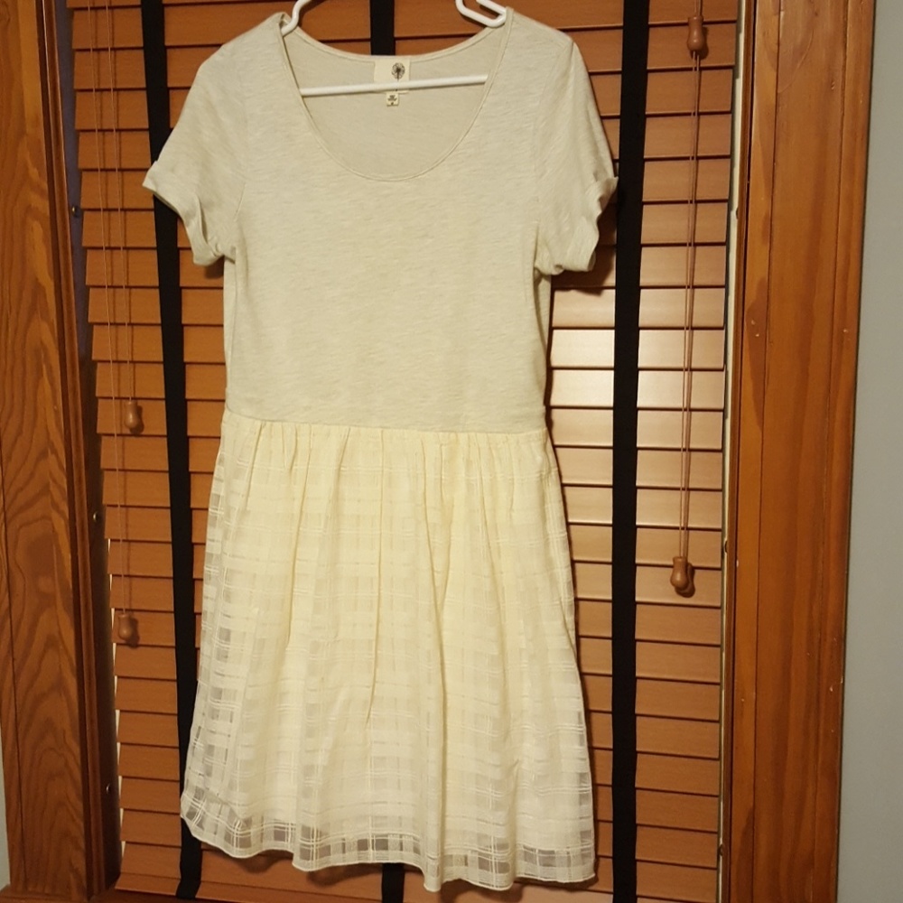 Everleigh Anthropologie sweater and lace dress
